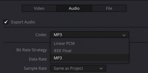 DaVinci Resolve studio audio codecs under Linux